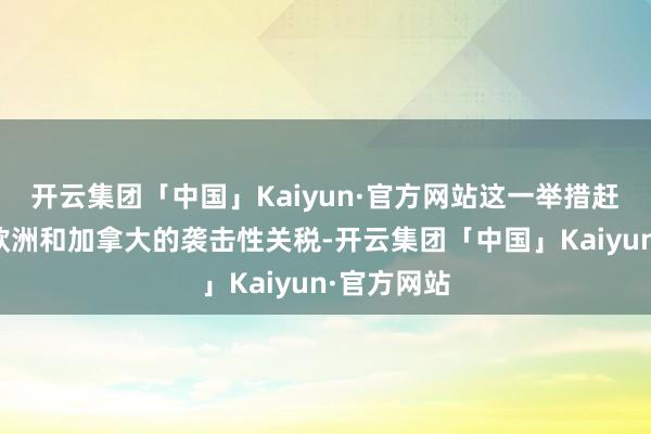 开云集团「中国」Kaiyun·官方网站这一举措赶快激勉了欧洲和加拿大的袭击性关税-开云集团「中国」Kaiyun·官方网站