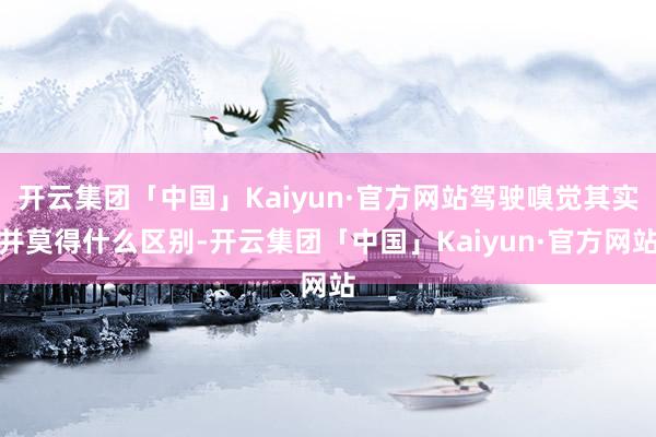 开云集团「中国」Kaiyun·官方网站驾驶嗅觉其实并莫得什么区别-开云集团「中国」Kaiyun·官方网站