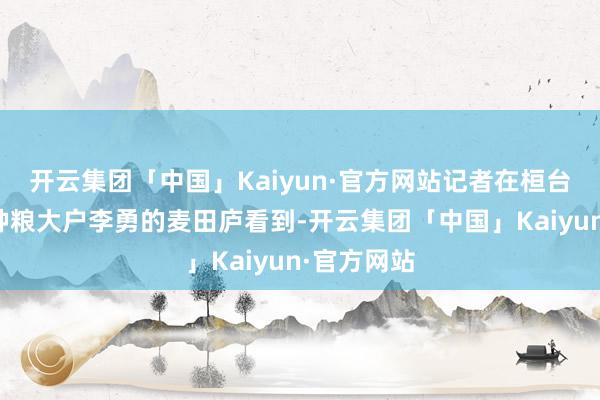开云集团「中国」Kaiyun·官方网站记者在桓台县唐山镇种粮大户李勇的麦田庐看到-开云集团「中国」Kaiyun·官方网站
